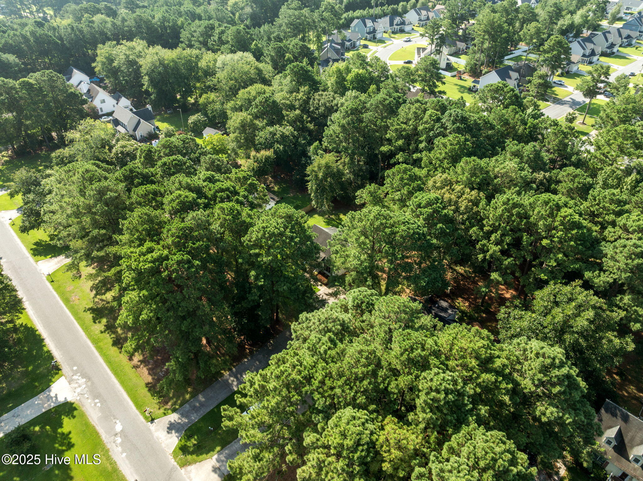 855 Darrell Drive Greenville, NC 27834 - Photo 10 of 50 10-web-or-mls-DJI_0681
