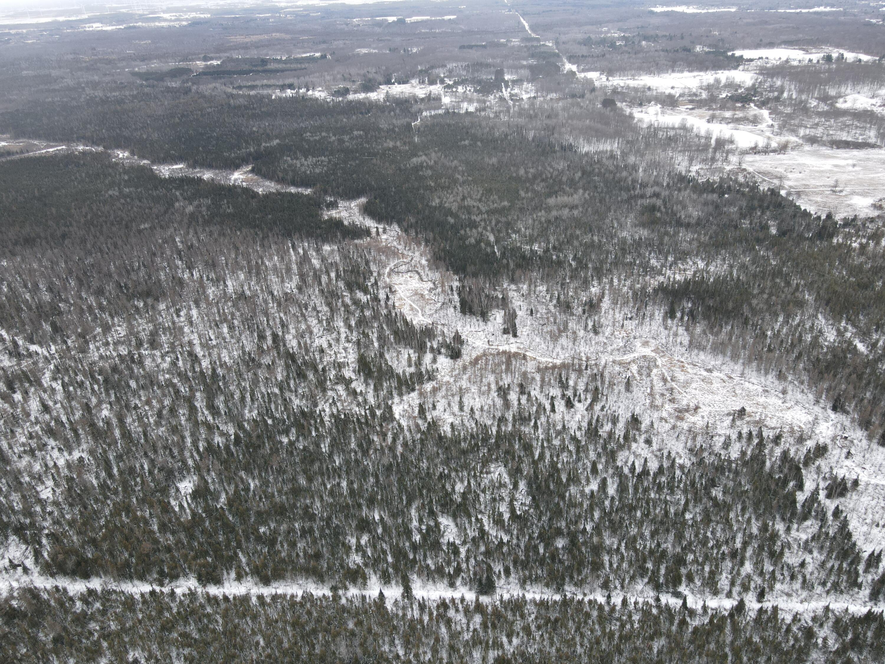 -vl North County Line Road Farwell, MI 48622 - Photo 1 of 36 main