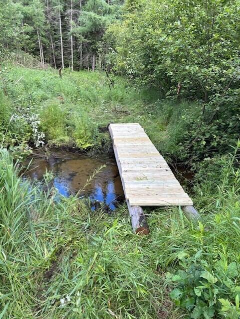 -vl North County Line Road Farwell, MI 48622 - Photo 11 of 36 thumbnail_IMG_2376