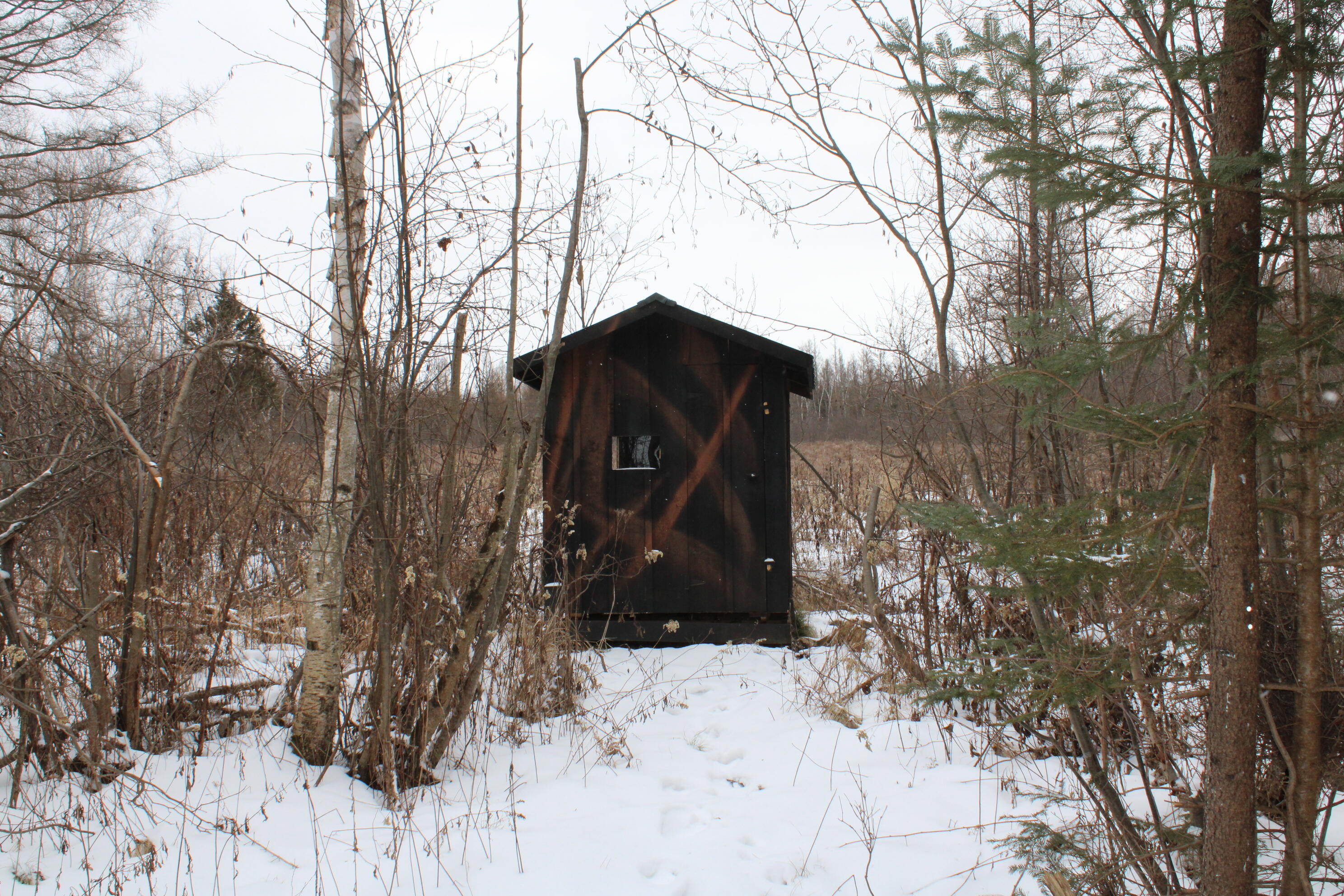 -vl North County Line Road Farwell, MI 48622 - Photo 14 of 36 IMG_4062