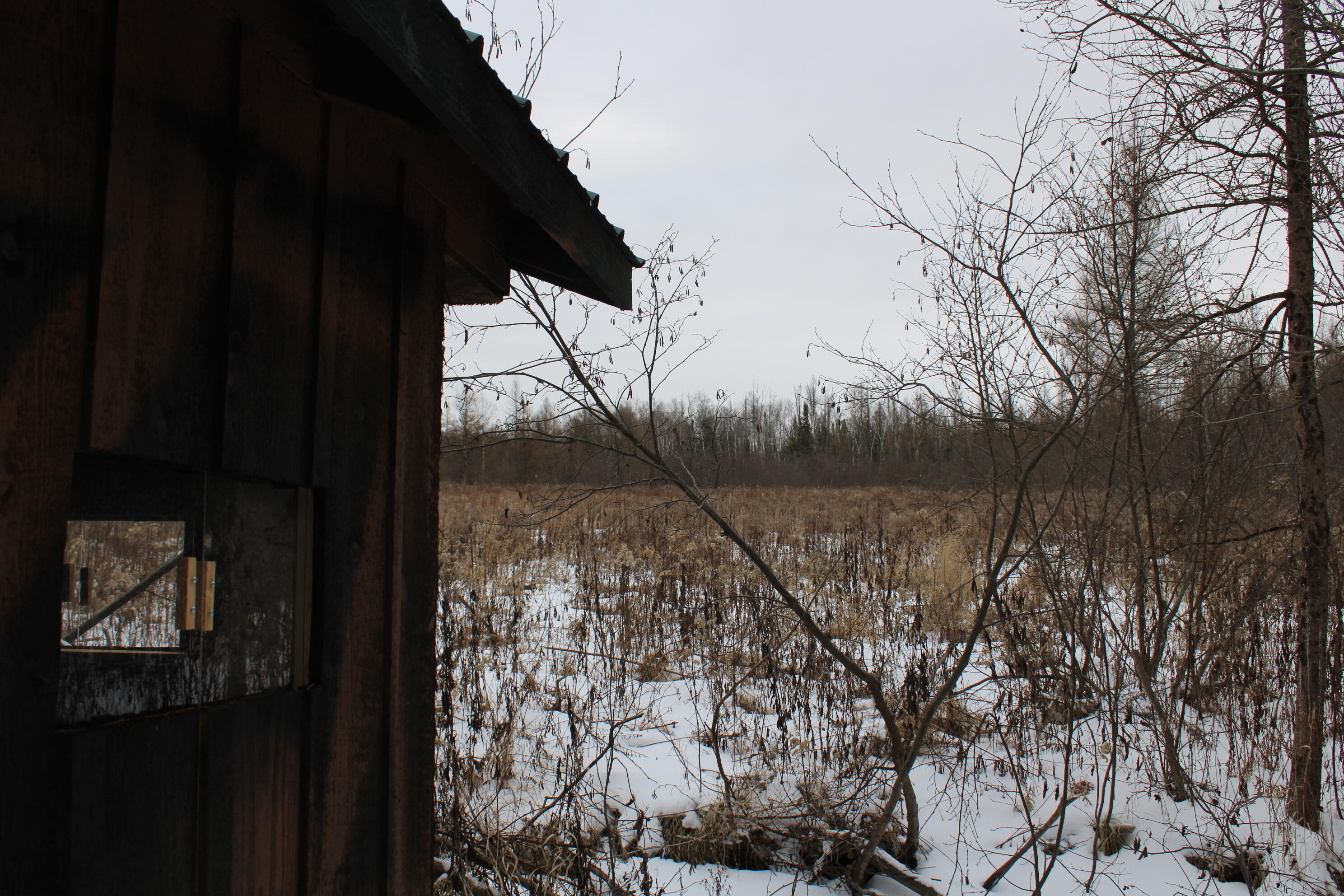 -vl North County Line Road Farwell, MI 48622 - Photo 15 of 36 IMG_4063