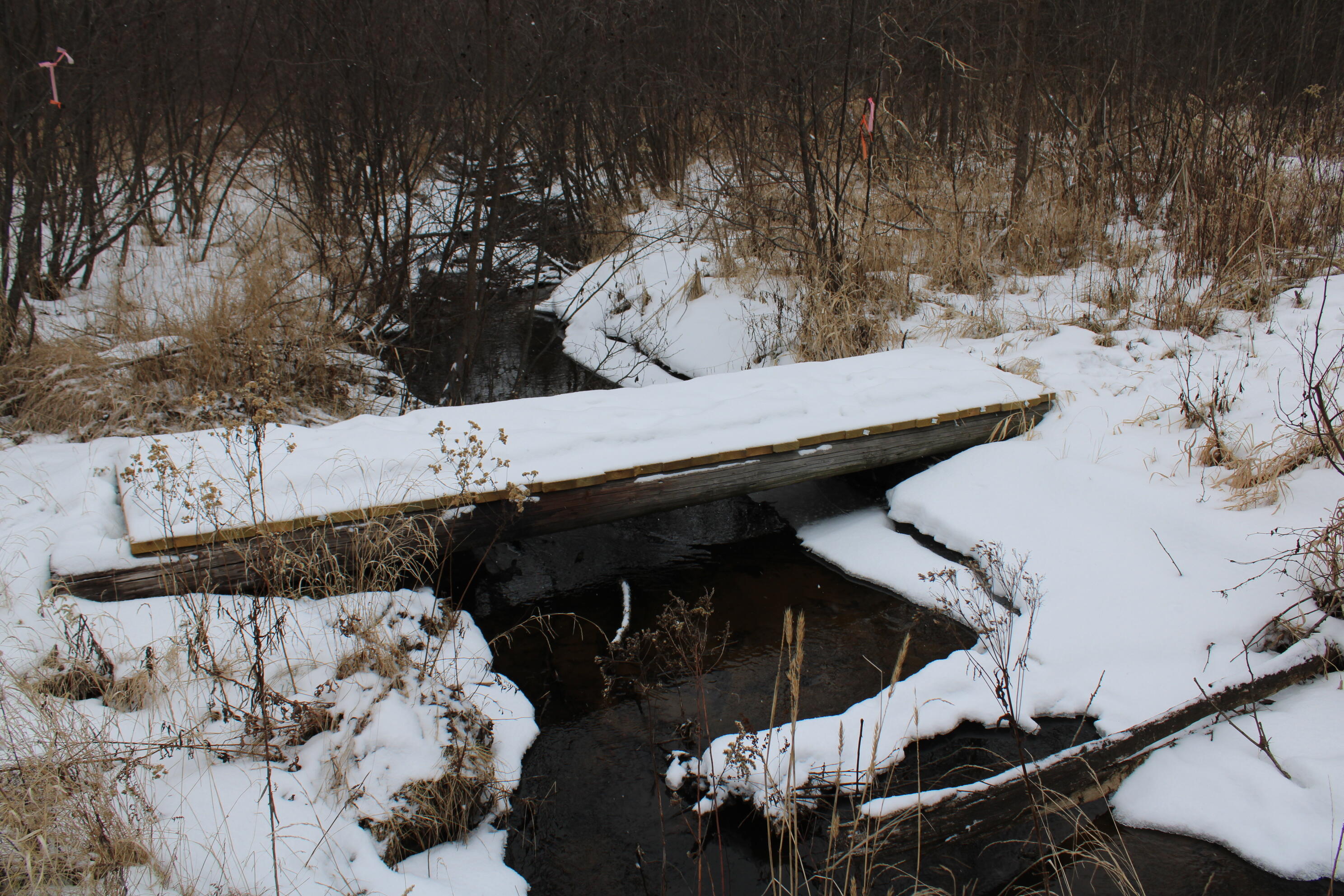 -vl North County Line Road Farwell, MI 48622 - Photo 20 of 36 IMG_4068