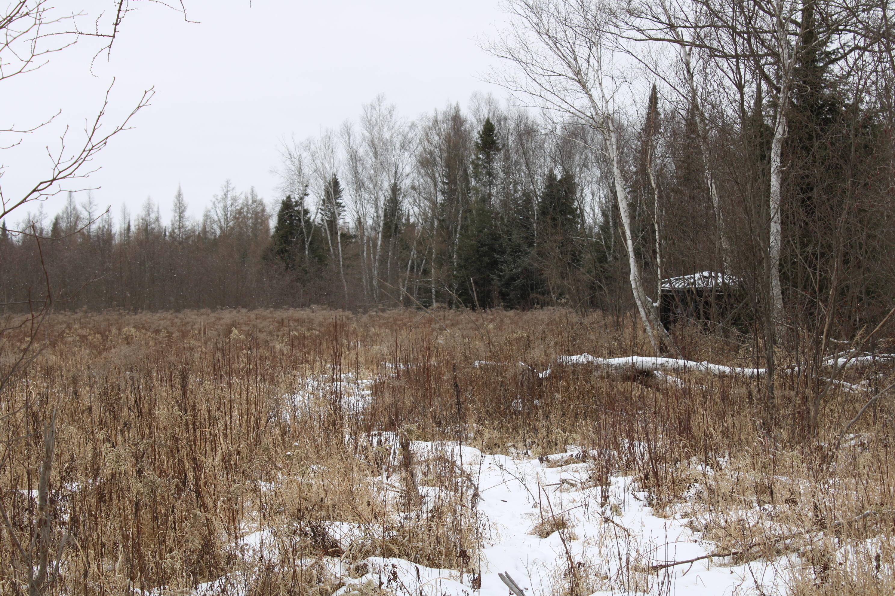 -vl North County Line Road Farwell, MI 48622 - Photo 23 of 36 IMG_4072