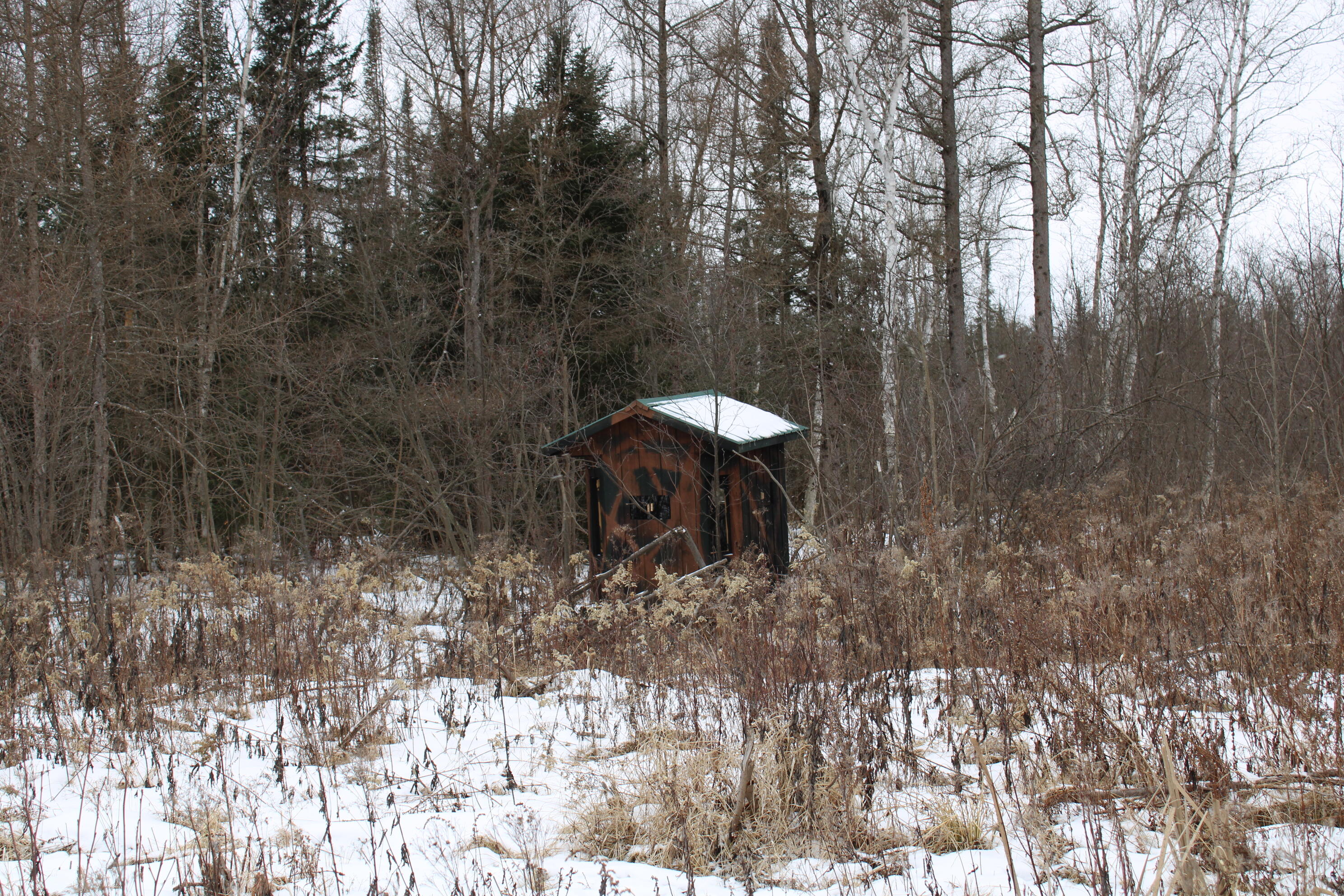 -vl North County Line Road Farwell, MI 48622 - Photo 30 of 36 IMG_4079