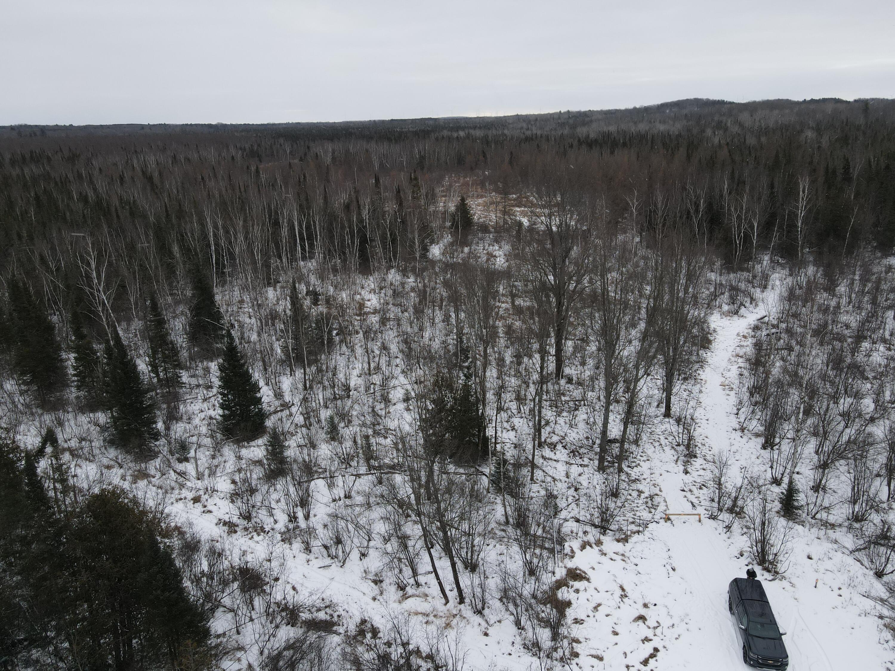 -vl North County Line Road Farwell, MI 48622 - Photo 3 of 36 DJI_0016