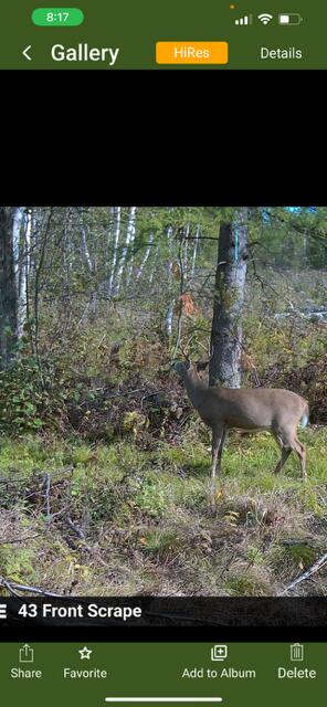-vl North County Line Road Farwell, MI 48622 - Photo 31 of 36 IMG_3295