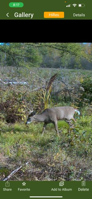 -vl North County Line Road Farwell, MI 48622 - Photo 32 of 36 IMG_3557