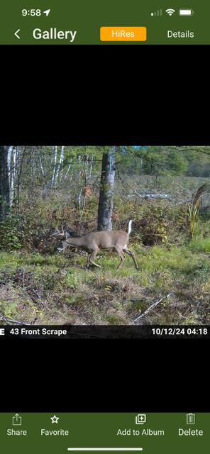 -vl North County Line Road Farwell, MI 48622 - Photo 34 of 36 thumbnail_IMG_3304