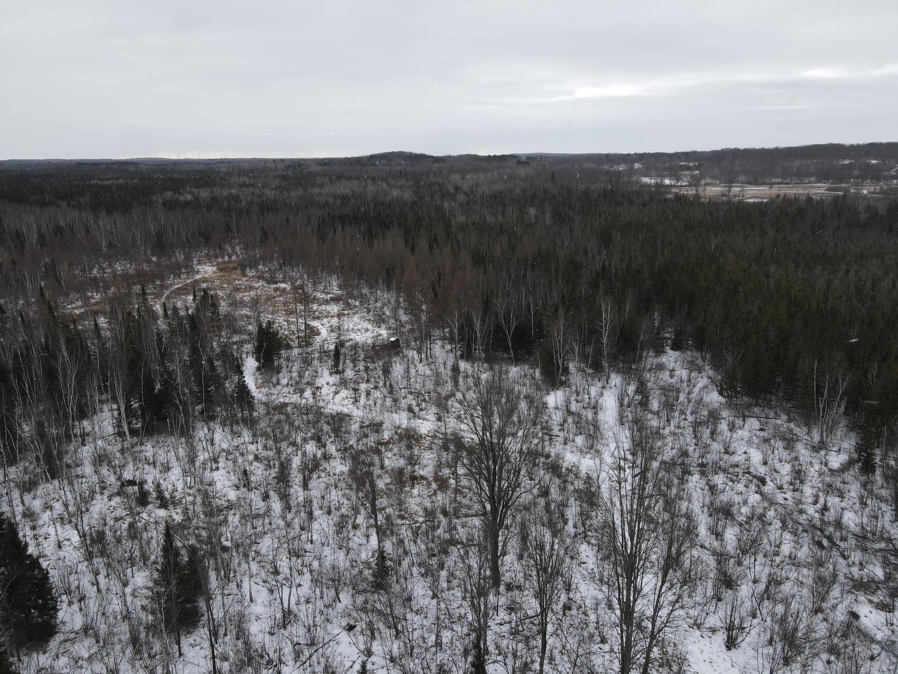-vl North County Line Road Farwell, MI 48622 - Photo 4 of 36 DJI_0019