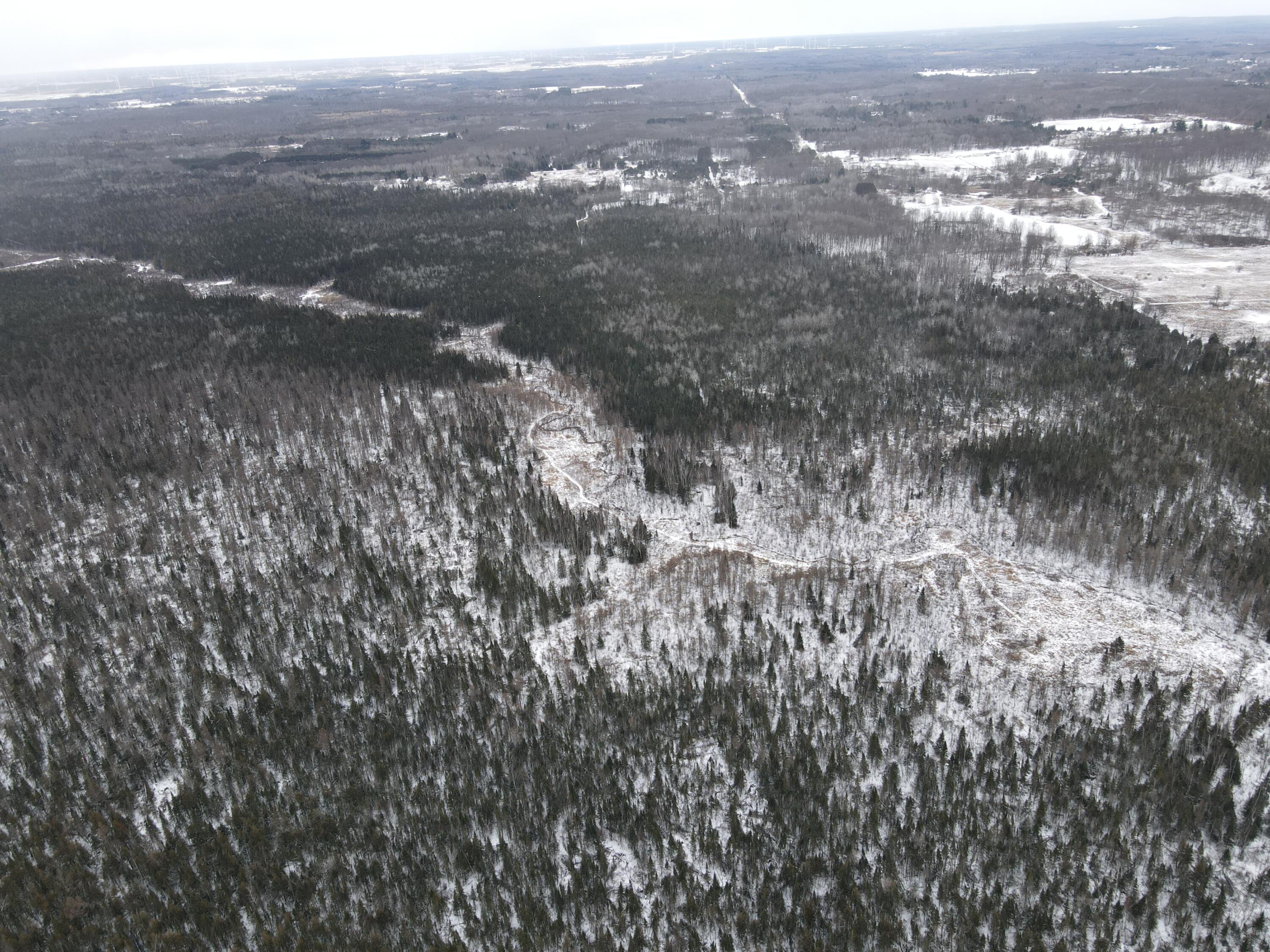 -vl North County Line Road Farwell, MI 48622 - Photo 5 of 36 DJI_0023