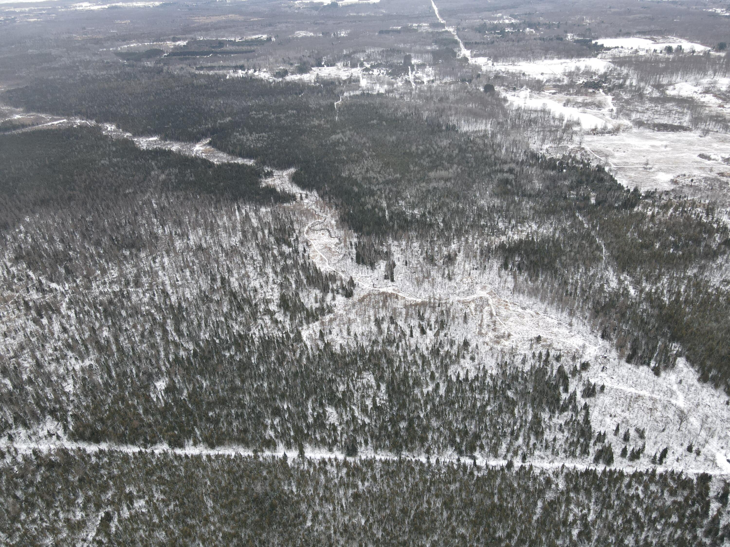-vl North County Line Road Farwell, MI 48622 - Photo 6 of 36 DJI_0026