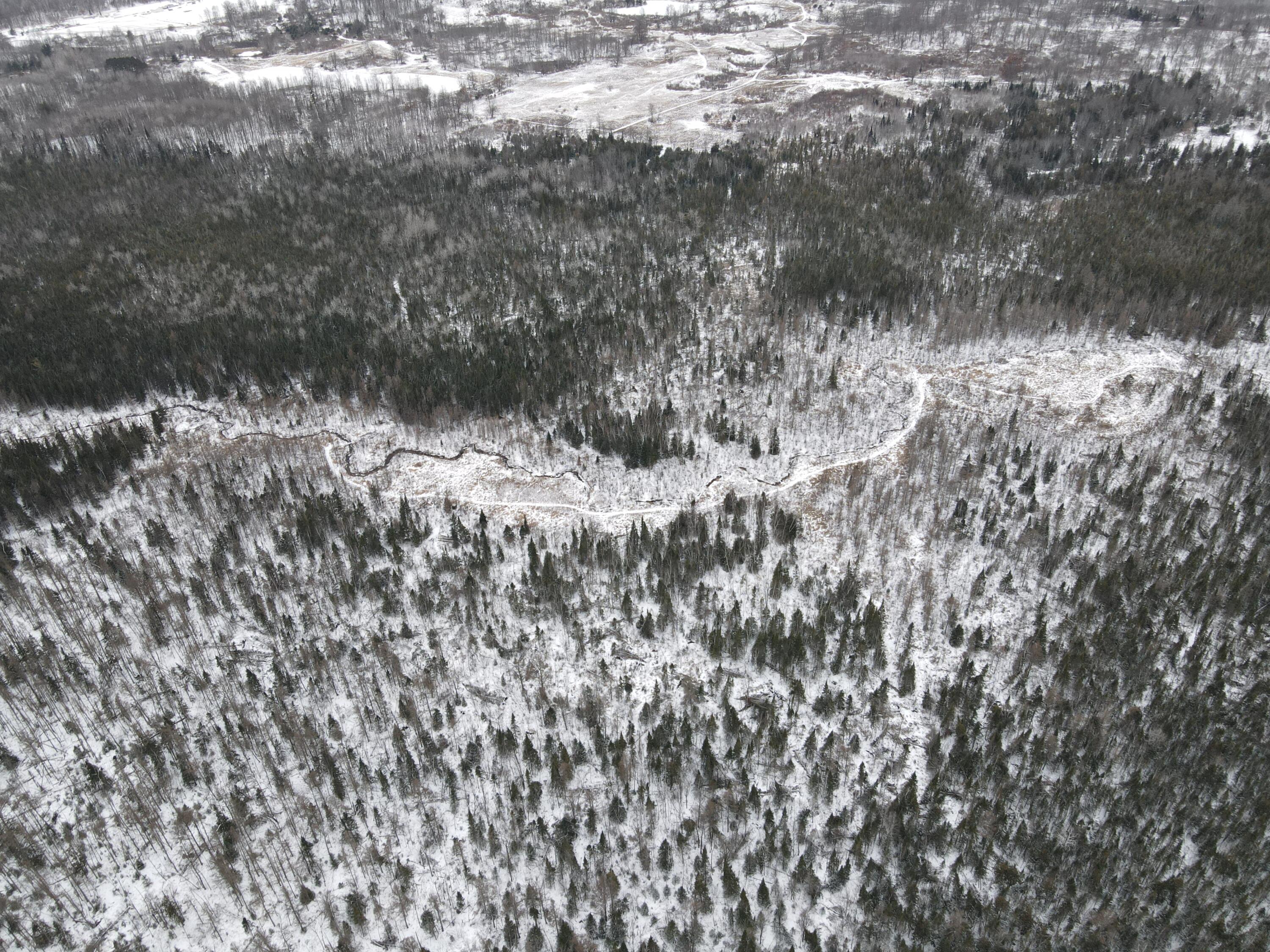 -vl North County Line Road Farwell, MI 48622 - Photo 7 of 36 DJI_0032