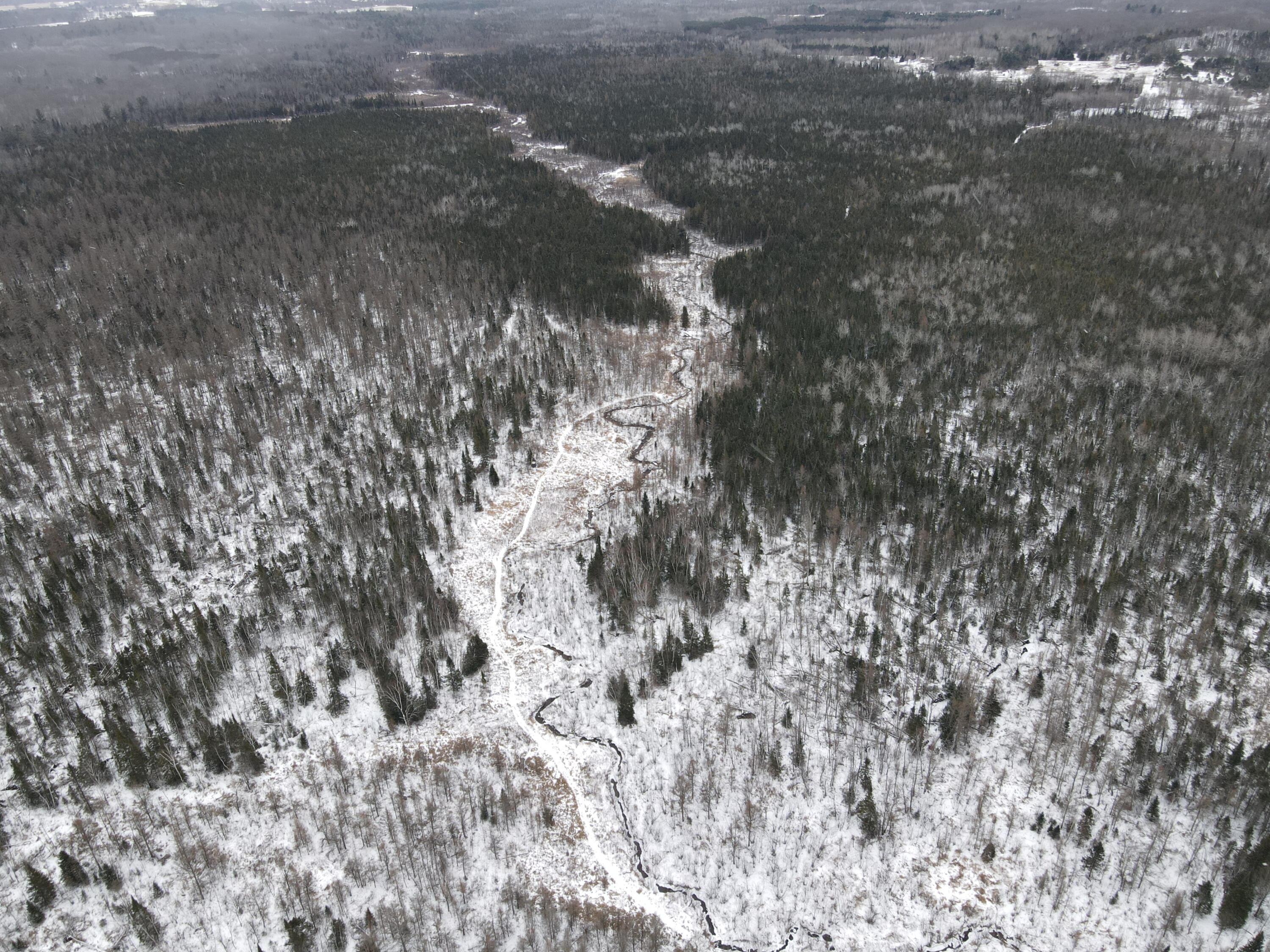 -vl North County Line Road Farwell, MI 48622 - Photo 8 of 36 DJI_0039