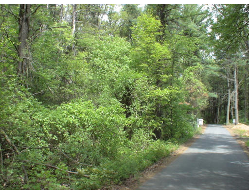 27 Beaver Pond Road Beverly, MA 01915 - Photo 1 of 1 a view of a yard with plants and a bench