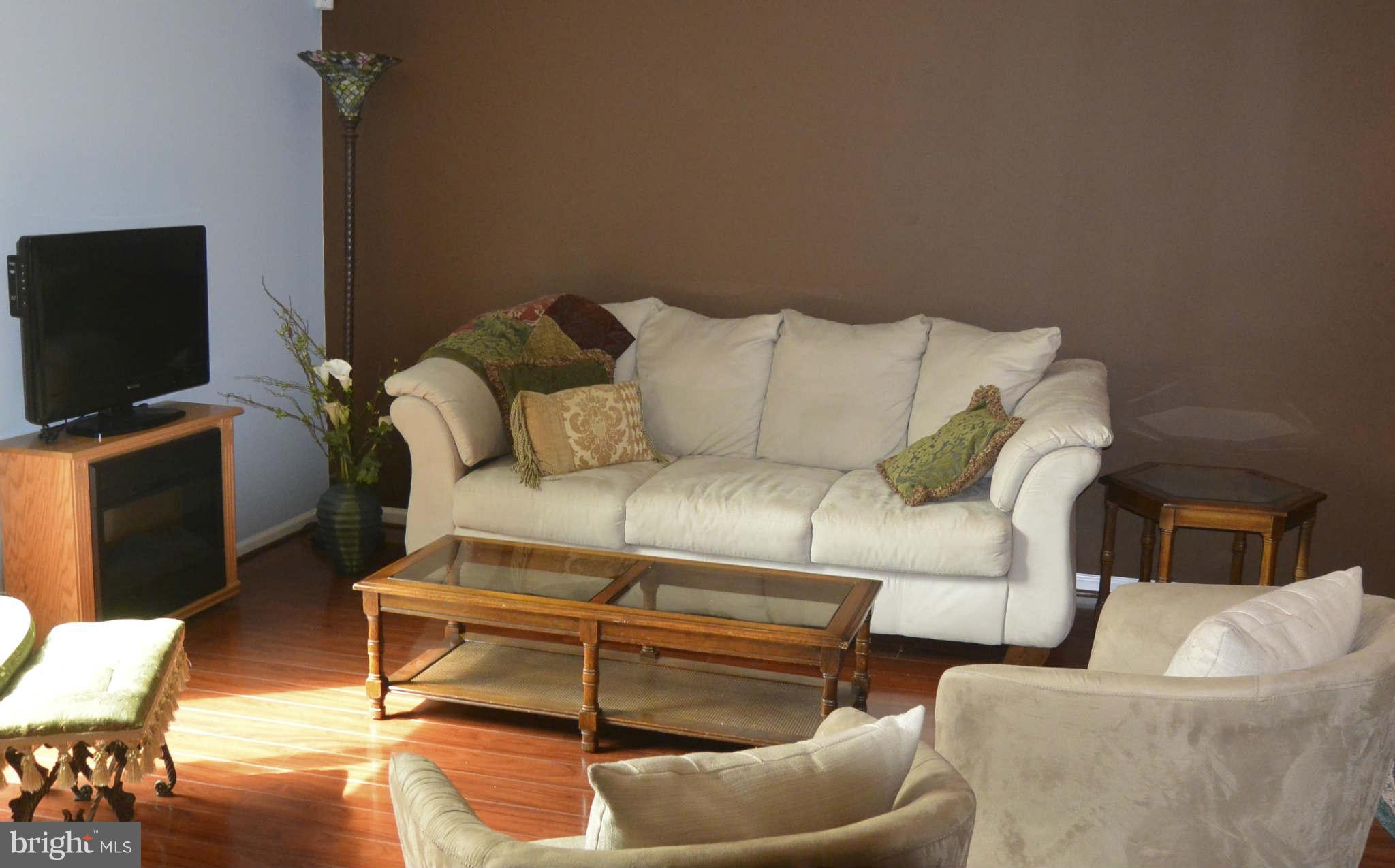 4052 Spring Run Court, Unit 9G Chantilly, VA 20151 - Photo 17 of 26 Living Room