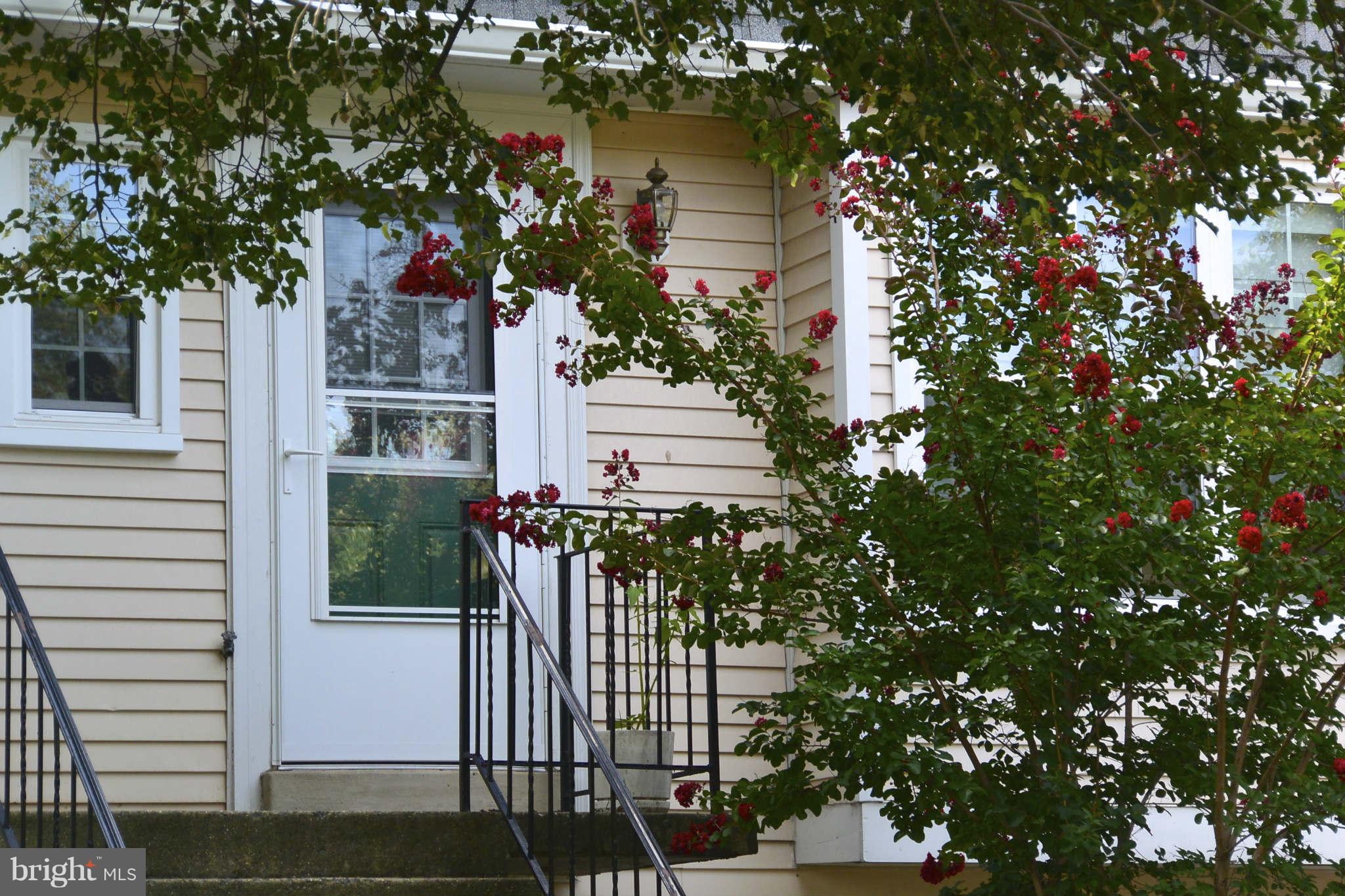 Exterior (Front)