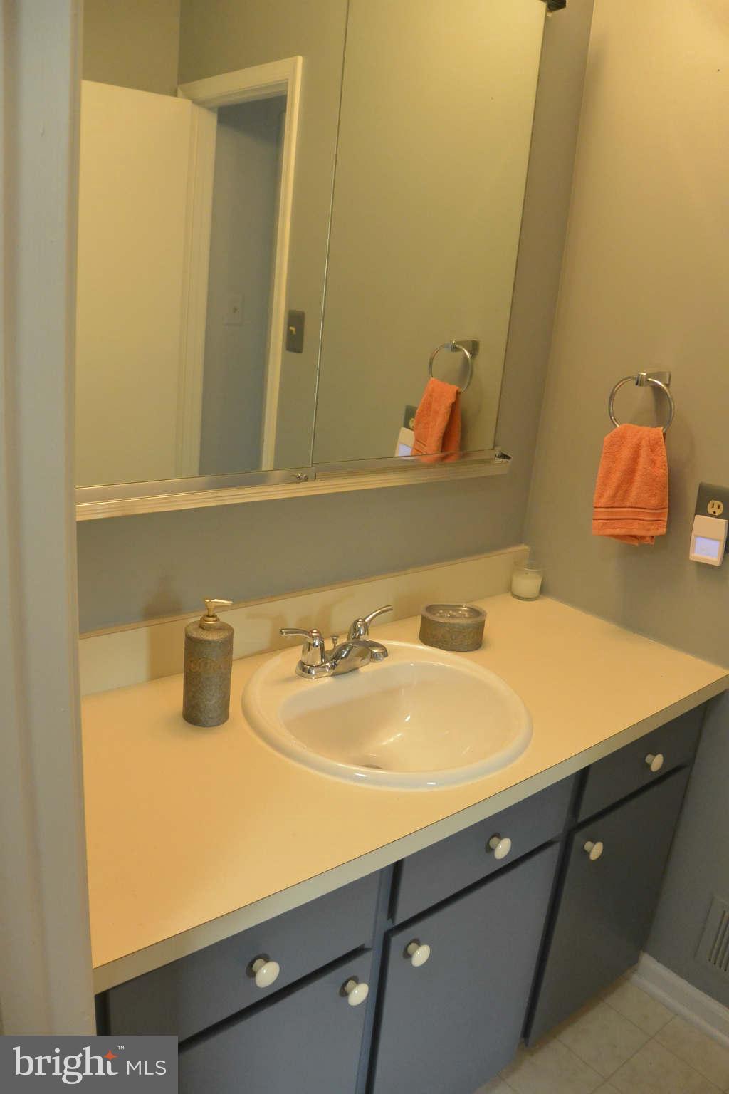4052 Spring Run Court, Unit 9G Chantilly, VA 20151 - Photo 25 of 26 Bath (Master)