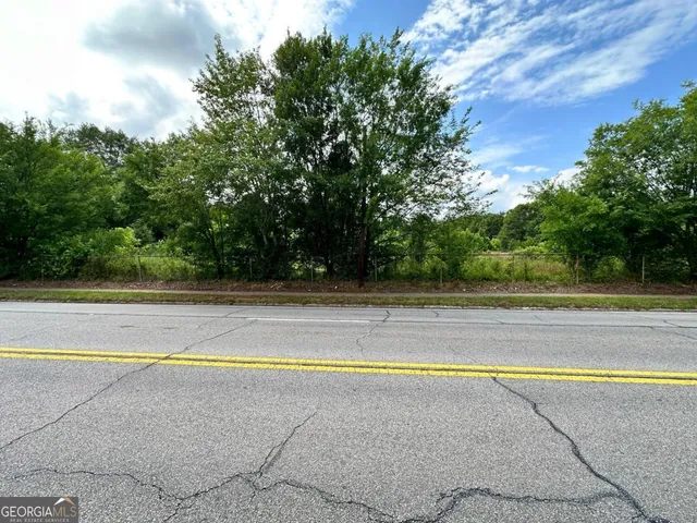 a view of a forest with trees