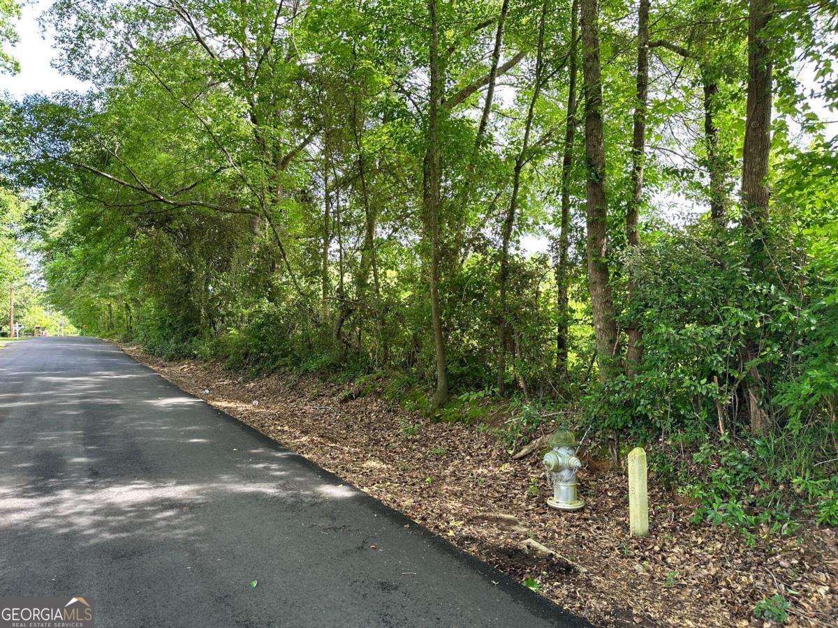 450 Gaines School Road Athens, GA 30605 - Photo 5 of 8 a view of a forest with trees