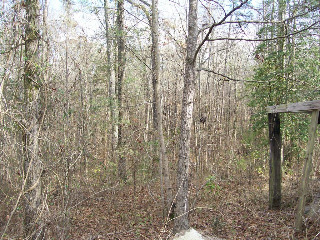 3 Fishburn Road Shiloh, GA 31826 - Photo 1 of 1 Main View