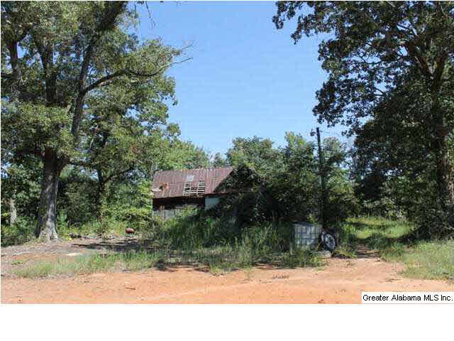 619 County Road, Unit 59 5AC Woodland, AL 36280 - Photo 7 of 13