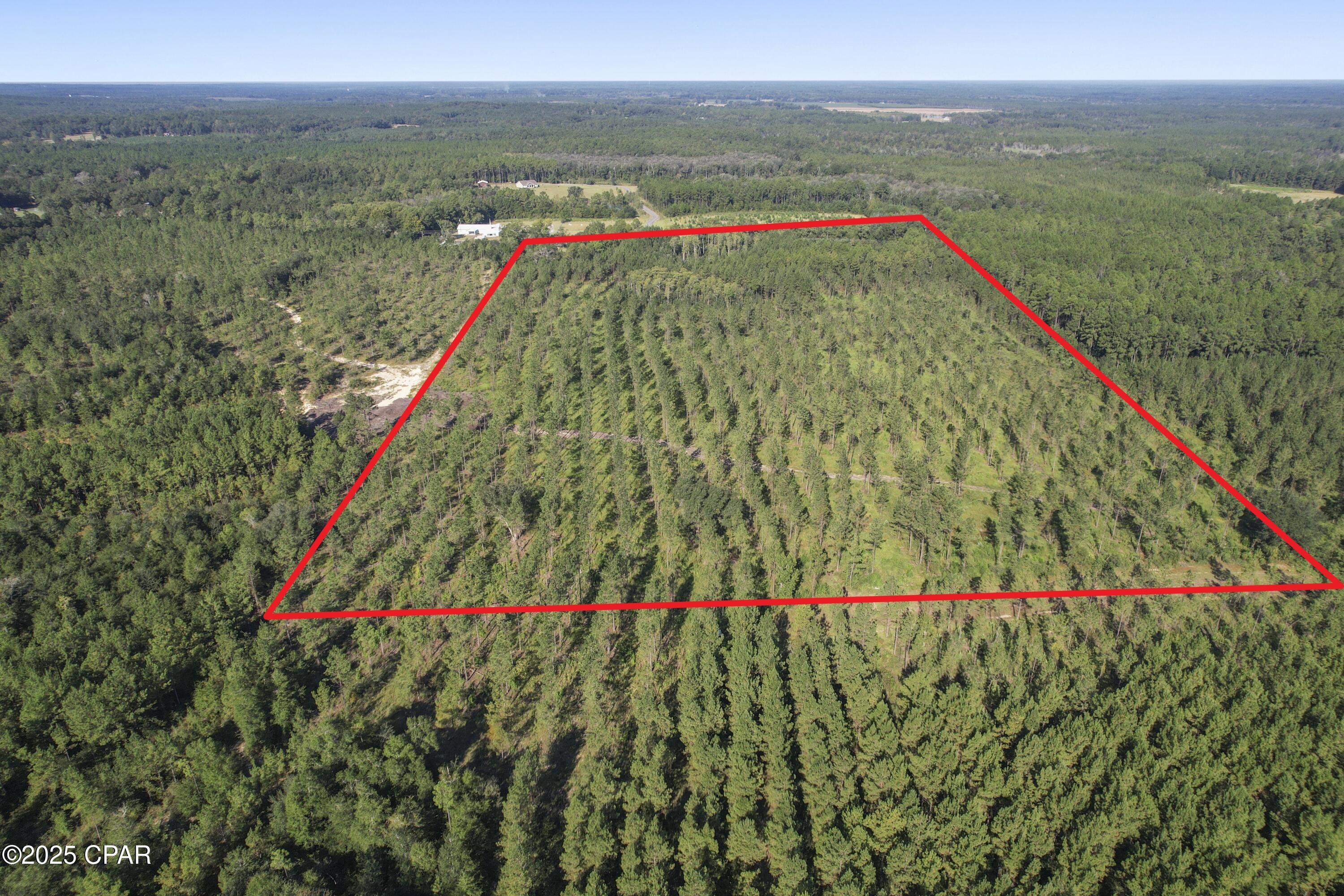 2649 Bonnett Pond Road Chipley, FL 32428 - Photo 4 of 21