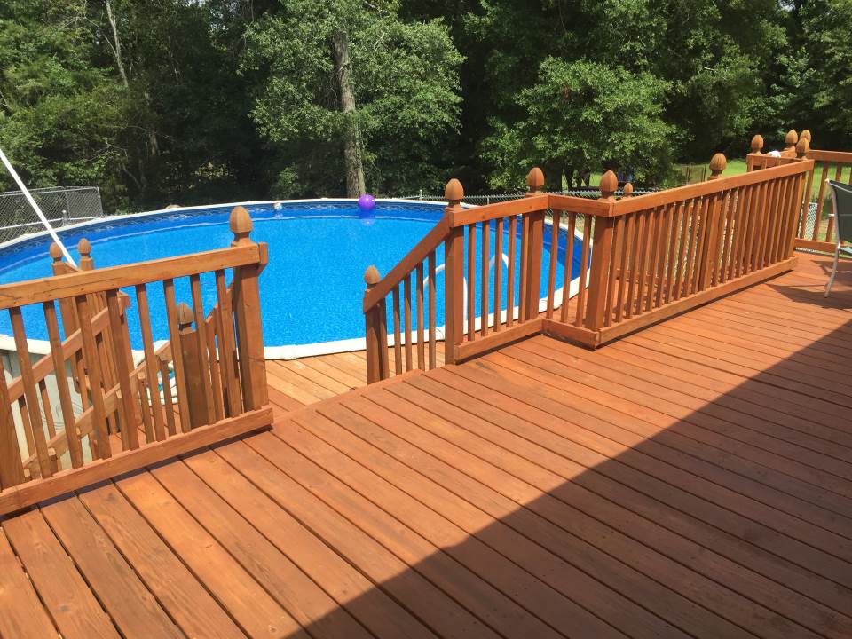 145 County Rd S-1-345 Donalds, SC 29638 - Photo 8 of 20 Gallery Image 8