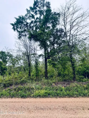 $9,500 | Pecan Grove Road, Woodville, MS 39669