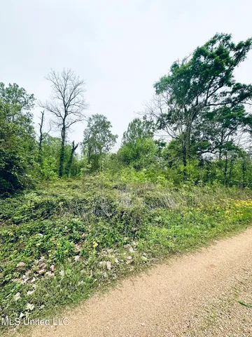 $9,500 | Pecan Grove Road, Woodville, MS 39669