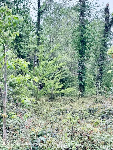 $9,500 | Pecan Grove Road, Woodville, MS 39669