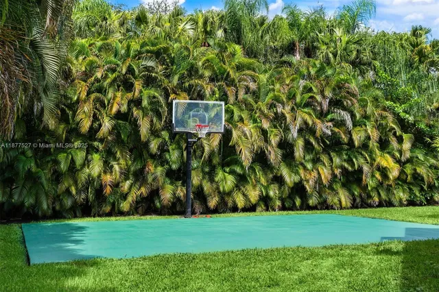 a view of a field with a tree