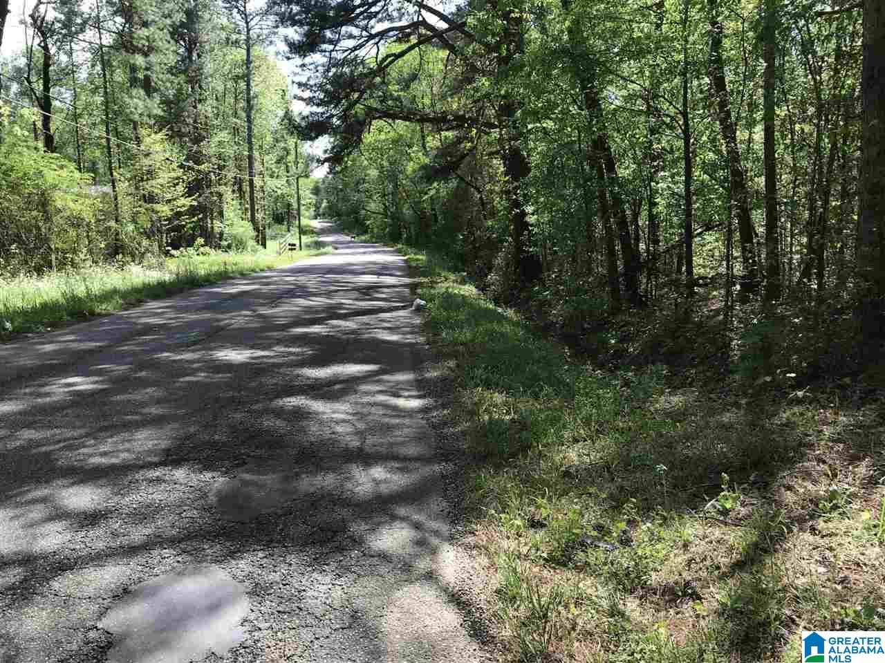 0 Acton Road, Unit 45 ACRE Moody, AL 35004 - Photo 4 of 12