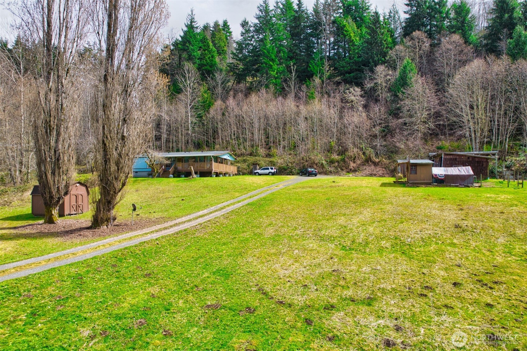 404 Meade Hill Road Glenoma, WA 98336 - Photo 3 of 40 a view of a swimming pool with a yard and trees