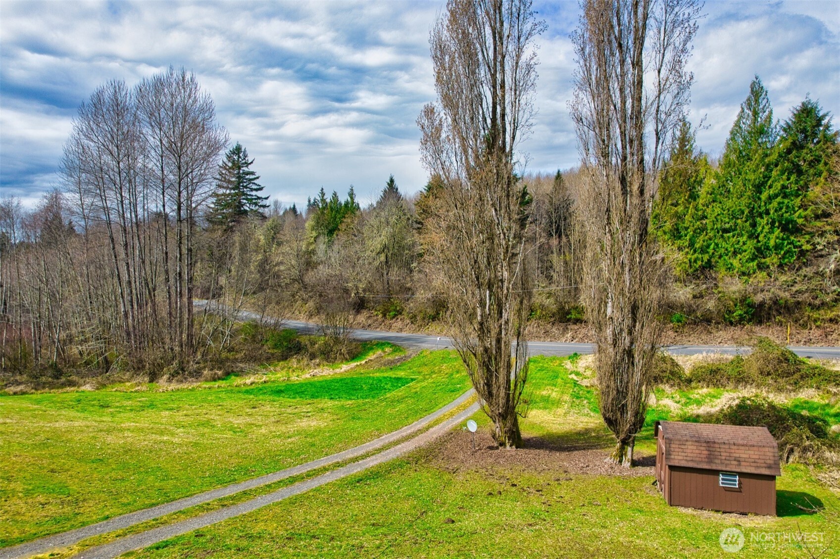 404 Meade Hill Road Glenoma, WA 98336 - Photo 8 of 40 a view of a park with large trees