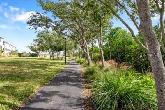 9973 Key Haven Road Seminole, FL 33777 - Photo 57 of 59 a view of a park with trees