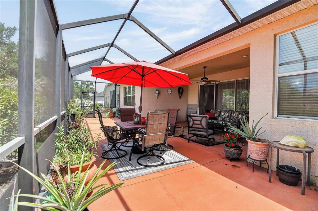 10232 Holland Road Riverview, FL 33578 - Photo 54 of 62