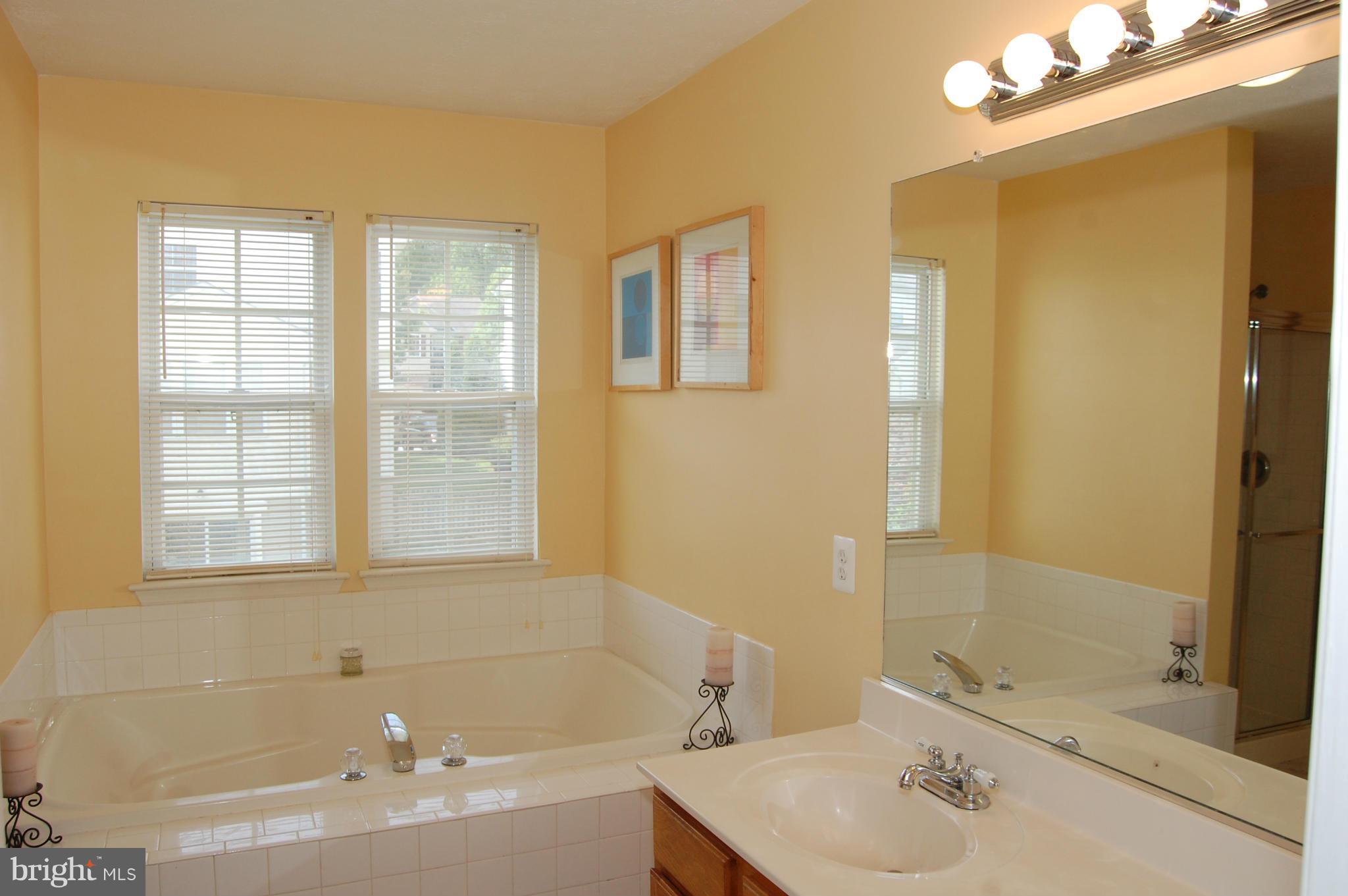 4707 Runnymeade Road Owings Mills, MD 21117 - Photo 17 of 30 Bath (Master)
