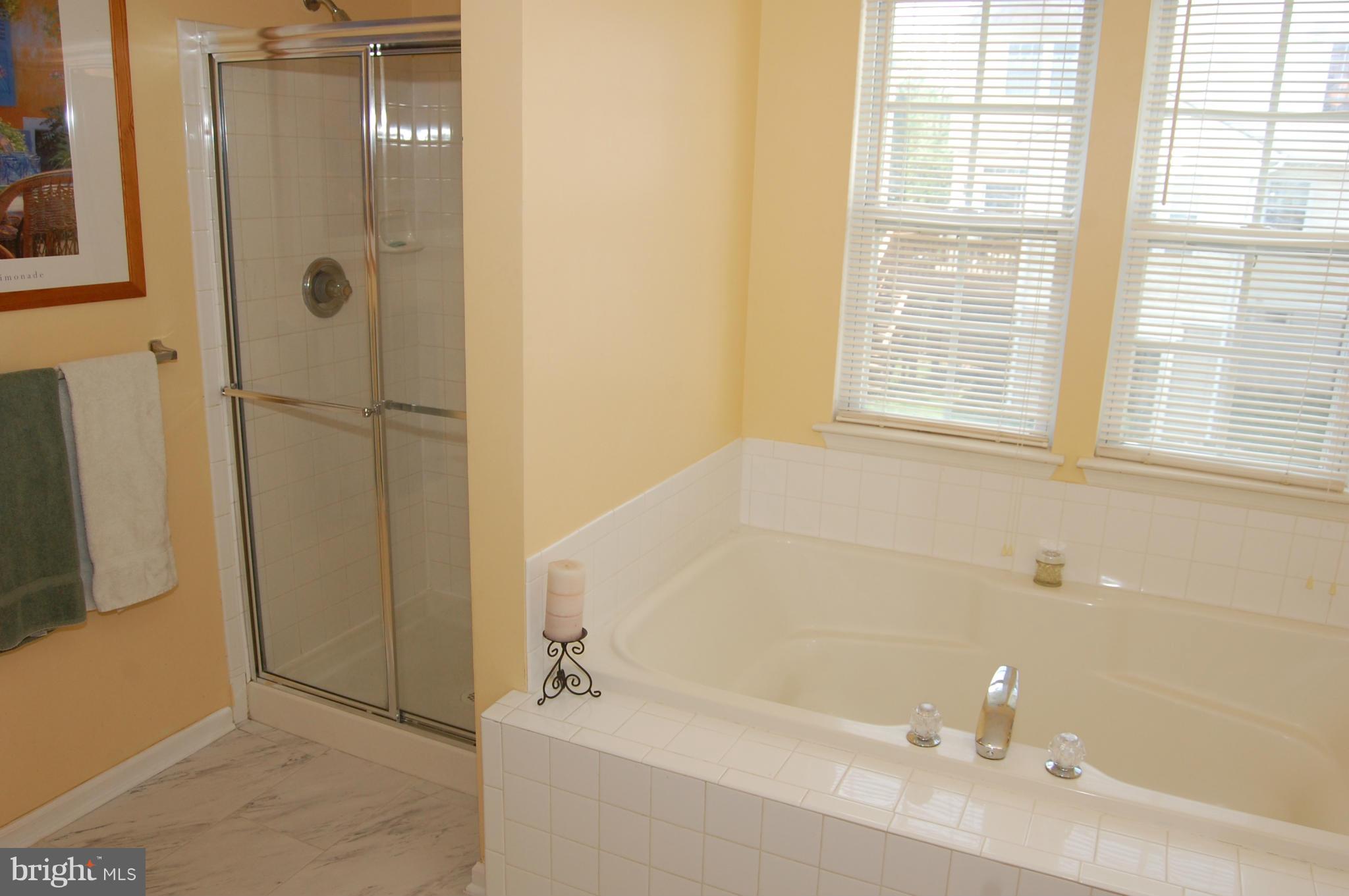 4707 Runnymeade Road Owings Mills, MD 21117 - Photo 19 of 30 Bath (Master)