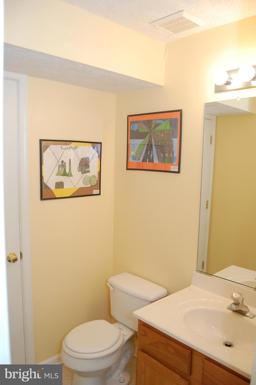 4707 Runnymeade Road Owings Mills, MD 21117 - Photo 26 of 30 Lower Level Bath