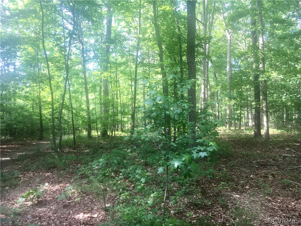2140 Poorhouse Road Victoria, VA 23974 - Photo 23 of 31