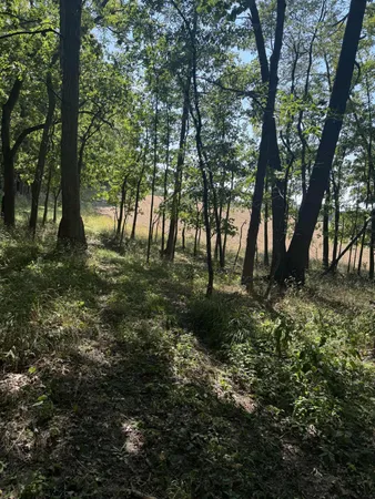 $3,329,000 | 781 Hopkins Road, Lyons, MI 48851