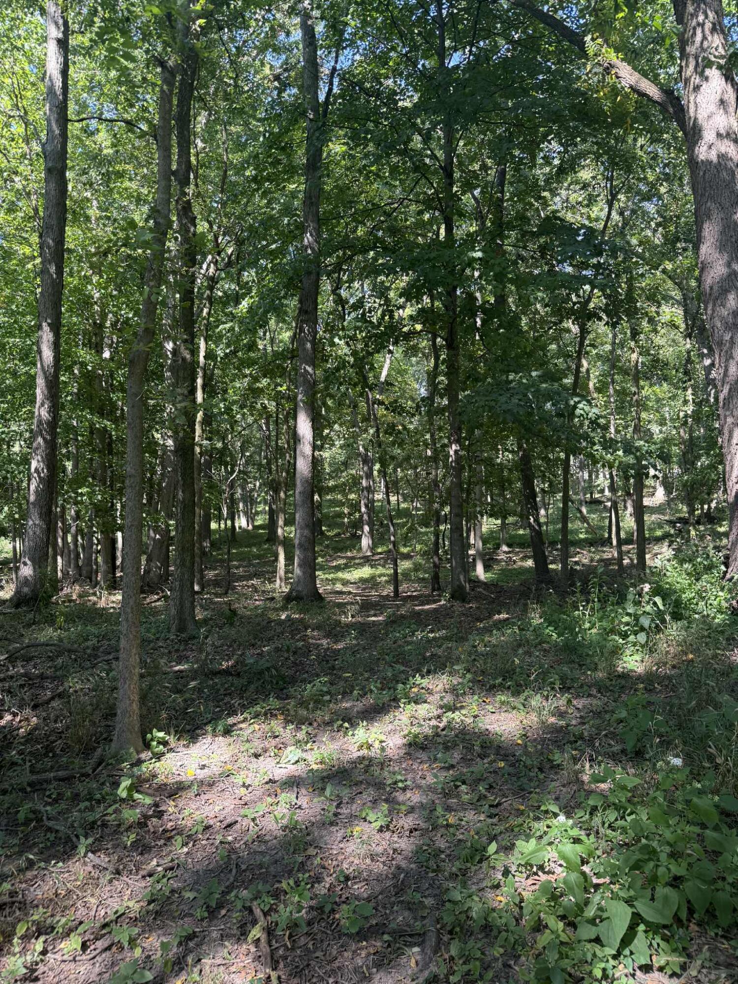 781 Hopkins Road Lyons, MI 48851 - Photo 103 of 128 a7b2dcc9-d6b0-4f41-b7ec-2824f92be9fe