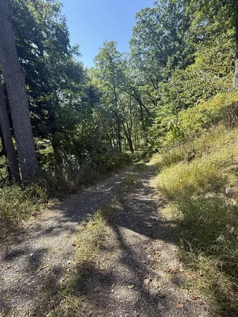 $3,329,000 | 781 Hopkins Road, Lyons, MI 48851