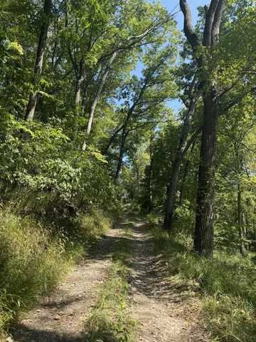 $3,329,000 | 781 Hopkins Road, Lyons, MI 48851