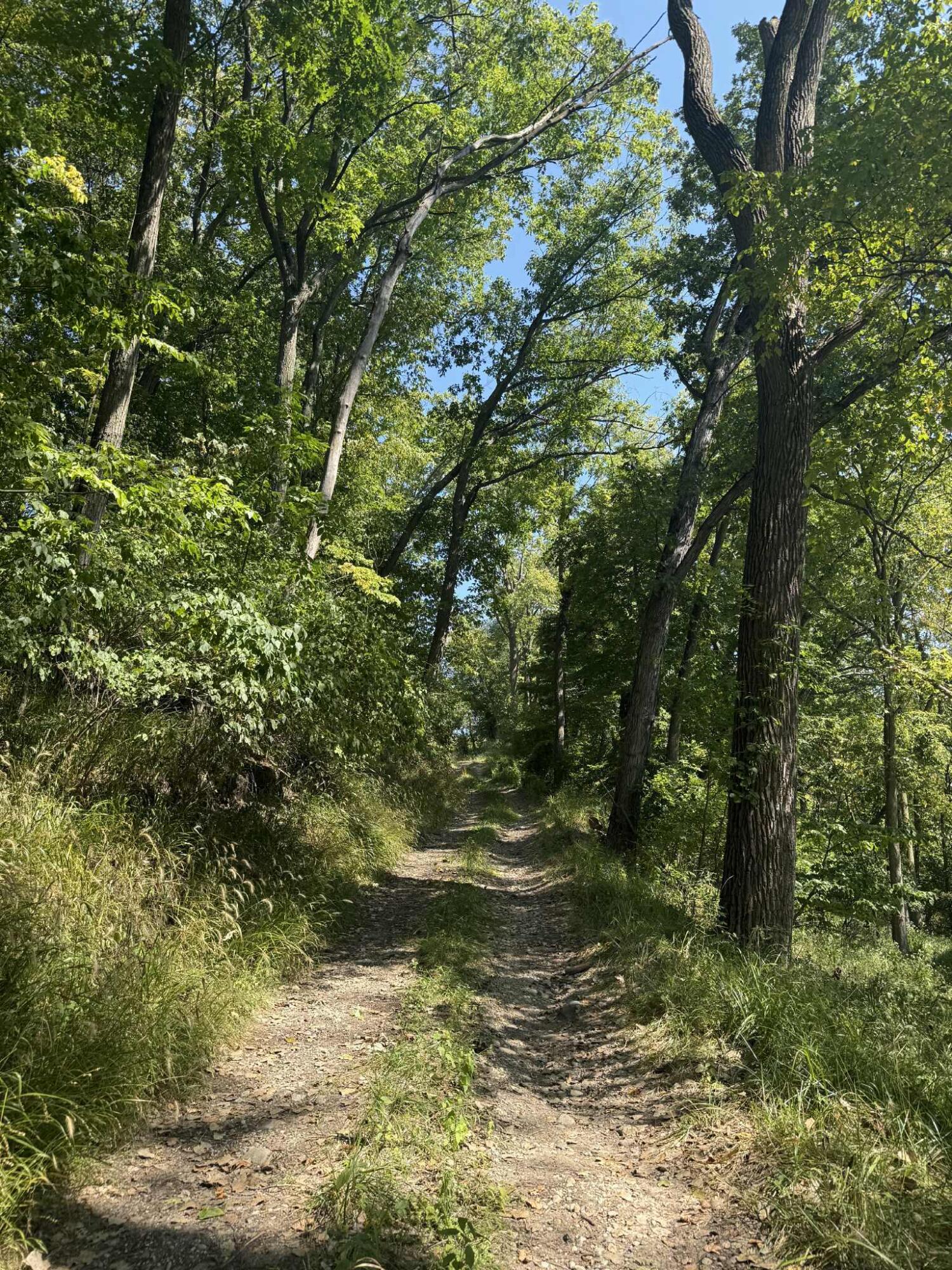 781 Hopkins Road Lyons, MI 48851 - Photo 105 of 128 a505419d-d25d-4ce5-8542-adfad44fb0b4