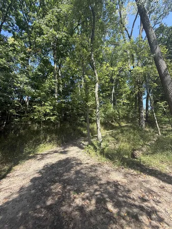 $3,329,000 | 781 Hopkins Road, Lyons, MI 48851