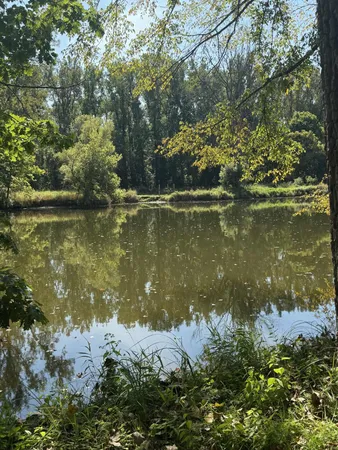 $3,329,000 | 781 Hopkins Road, Lyons, MI 48851