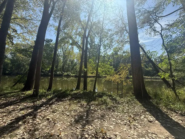 $3,329,000 | 781 Hopkins Road, Lyons, MI 48851