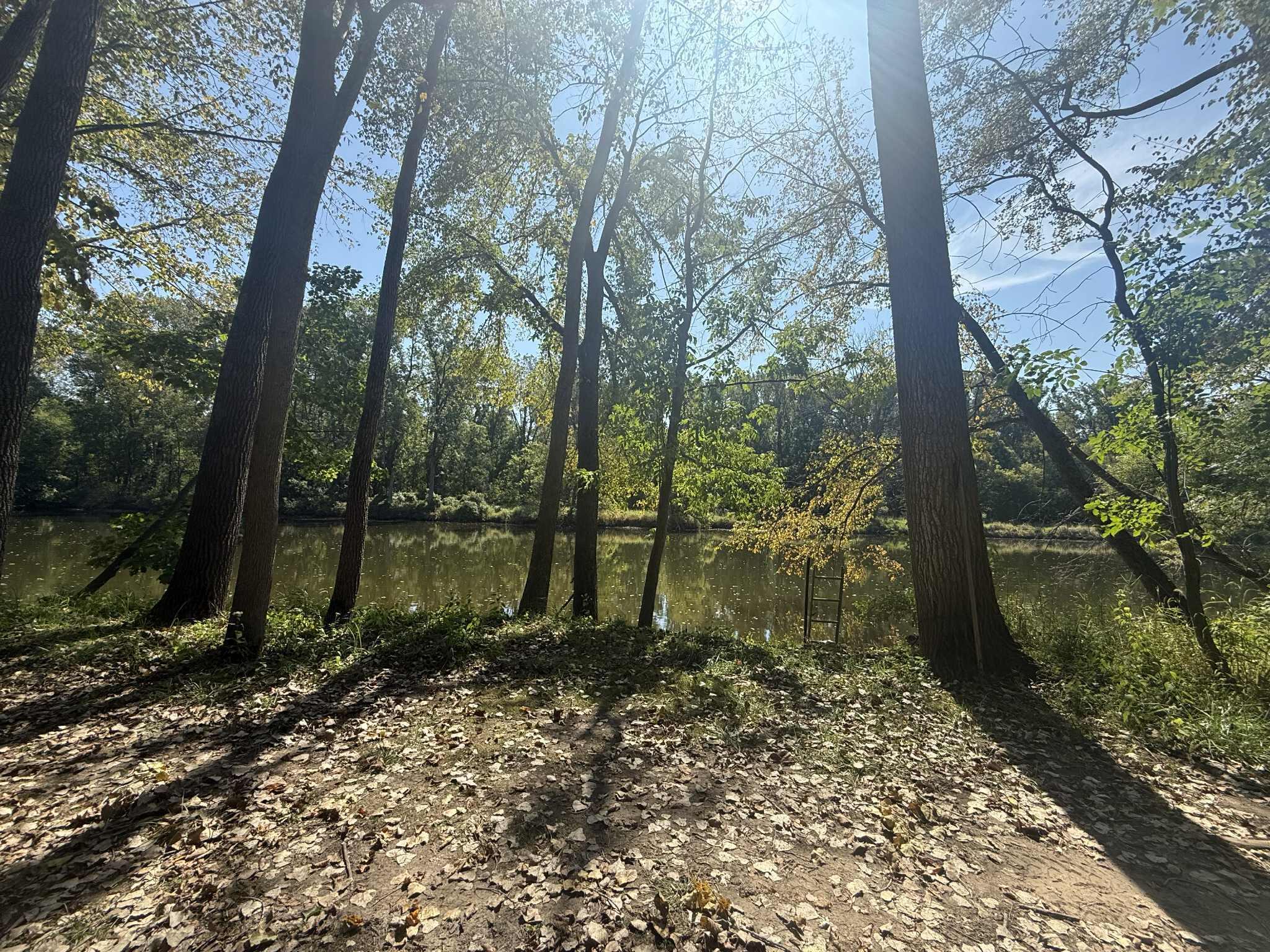 781 Hopkins Road Lyons, MI 48851 - Photo 110 of 128 232c5550-1737-41f5-ba90-51c142f66e9d