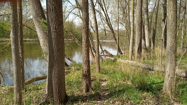 $3,329,000 | 781 Hopkins Road, Lyons, MI 48851